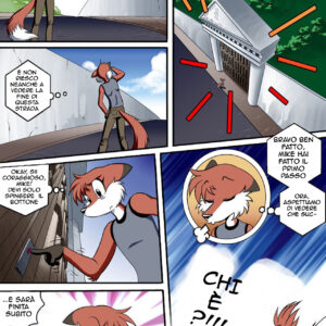 Animali in amore (22/36)